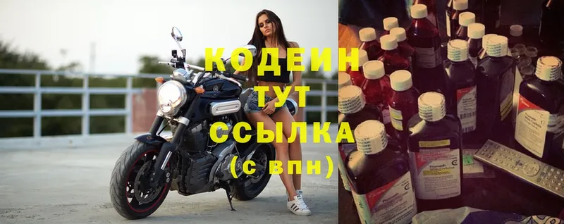 МЕГА ссылки  Зубцов  Codein Purple Drank  где купить  